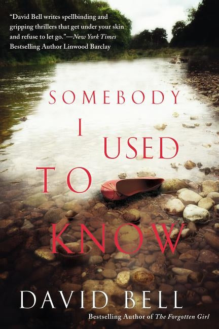 Somebody I Used to Know by Bell, David
