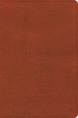 CSB Study Bible, Personal Size, Digital Study Edition, Burnt Sienna Leathertouch by Csb Bibles by Holman