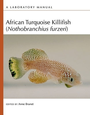 African Turquoise Killifish Nothobranchius Furzeri by Brunet