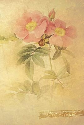 Rosa Lucida: Floral Notebook with Flower Illustrations on Every Page by Roses, Coming Up
