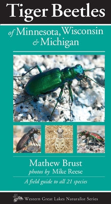 Tiger Beetles of Minnesota, Wisconsin & Michigan by Brust, Mathew