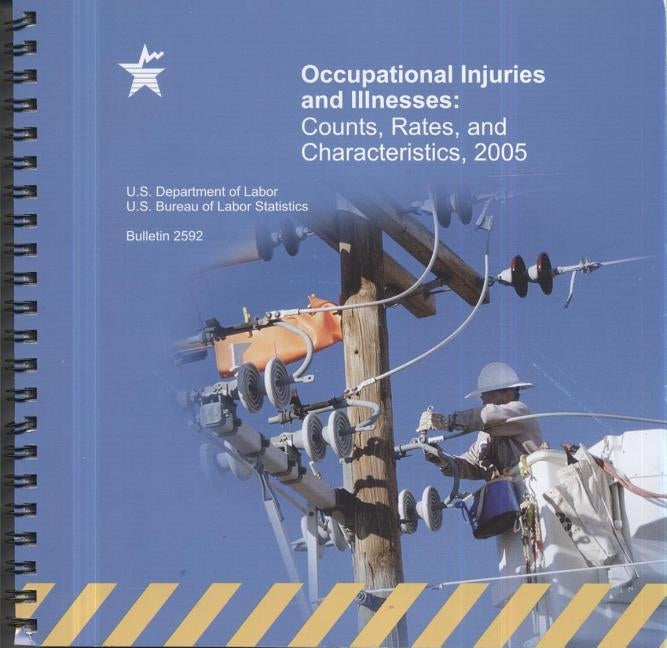 National Compensation Survey, Occupational Injuries and Illnesses Chartbook, 2005 by Labor Statistics Bureau (U S )