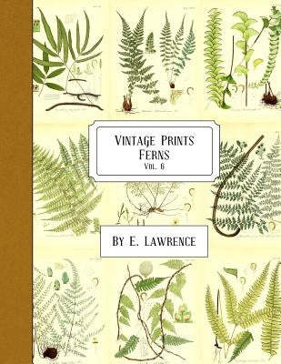 Vintage Prints: Ferns: Vol. 6 by Lawrence, E.