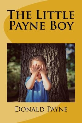 The Little Payne Boy: Over 100 short stories about a child growing up in Oberlin, Ohio. by Payne, Donald N.