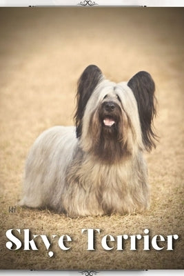 Skye Terrier: Dog breed overview and guide by Pustova, Nina