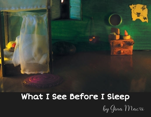 What I See Before I Sleep by Macri, Gina