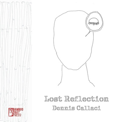 Lost Reflection by Callaci, Dennis