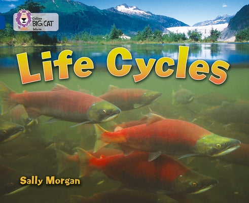 Life Cycles: Band 16/Sapphire by Morgan, Sally