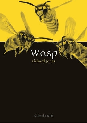Wasp by Jones, Richard
