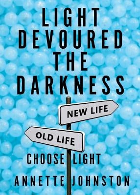 Light Devoured the Darkness by Johnston, Annette