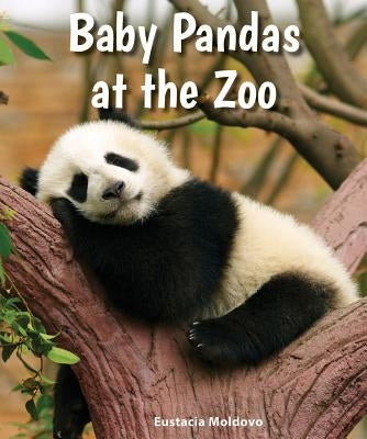 Baby Pandas at the Zoo by Moldovo, Eustacia