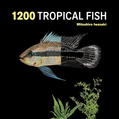 1200 Tropical Fish: An Illustrated Guide to 1200 Fish Species from Around the World by Iwasaki, Mitsuhiro