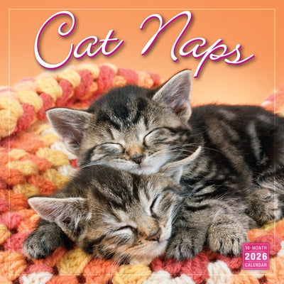2026 Cat Naps Wall Calendar by Sellers Publishing, Inc