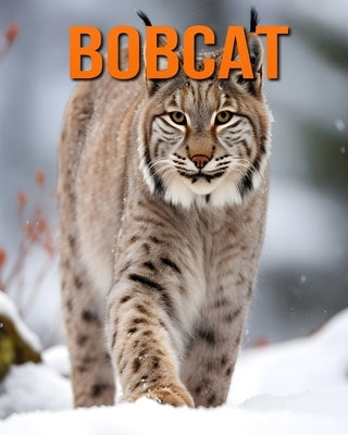 Bobcat: Fun and Fascinating Facts and Pictures About Bobcat by Hawthorn, Raine
