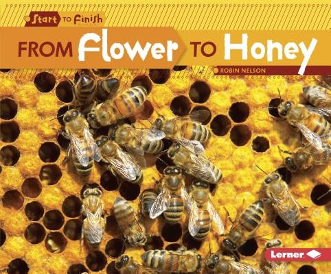 From Flower to Honey by Nelson, Robin