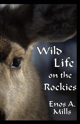Wild Life on the Rockies by Mills, Enos A.