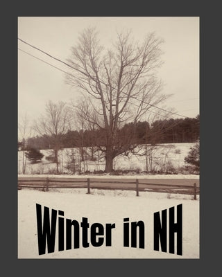 Winter In New Hampshire by Jlrodimon