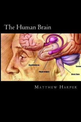 The Human Brain: A Fascinating Book Containing Human Brain Facts, Trivia, Images & Memory Recall Quiz: Suitable for Adults & Children by Harper, Matthew