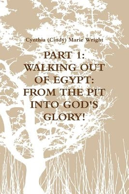 Part 1: Walking Out of Egypt: From the Pit Into God's Glory! by Wright, Cynthia (Cindy) Marie