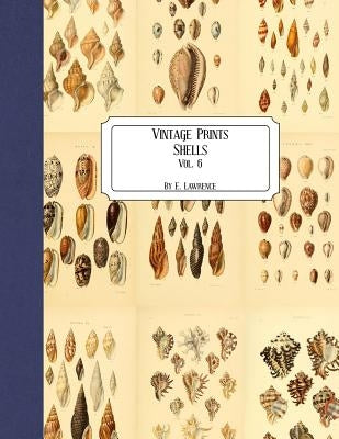 Vintage Prints: Shells: Vol. 6 by Lawrence, E.