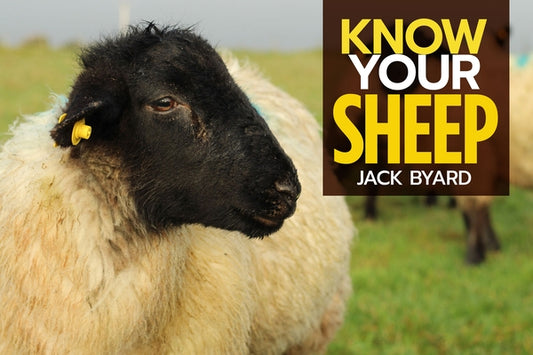 Know Your Sheep by Byard, Jack