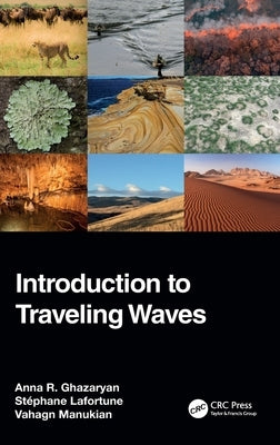 Introduction to Traveling Waves by Ghazaryan, Anna R.