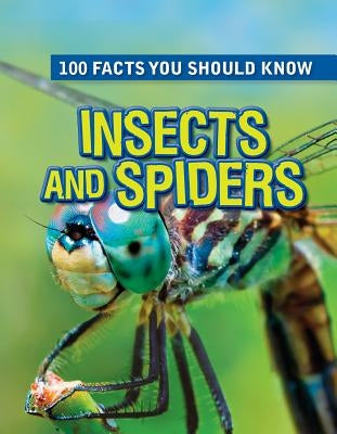 Insects and Spiders by Parker, Steve
