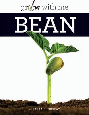 Bean by Murray, Laura K.