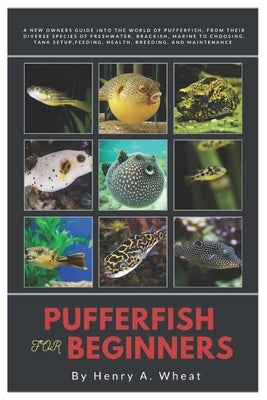Pufferfish for Beginners: A New Owners Guide into The World of Pufferfish, From Their Diverse Species of Freshwater, Brackish, Marine to Choosin by Wheat, Henry A.