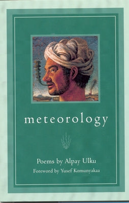 Meteorology by Ulku, Alpay