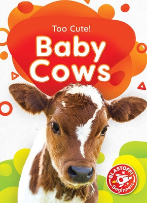 Baby Cows by Barnes, Rachael