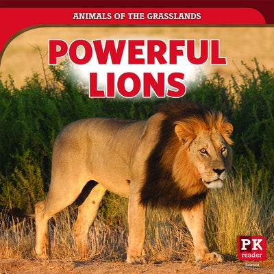 Powerful Lions by Emminizer, Theresa