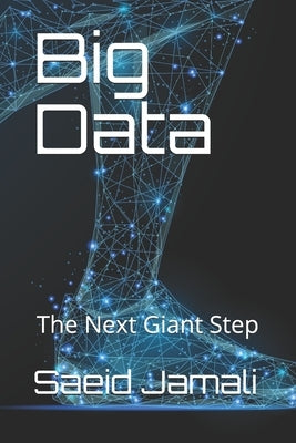 Big Data: The Next Giant Step by Jamali, Saeid