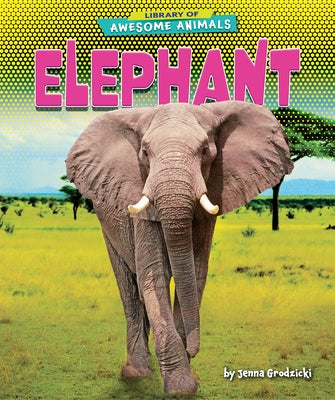 Elephant by Grodzicki, Jenna