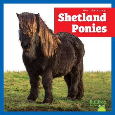 Shetland Ponies by Grack, Rachel