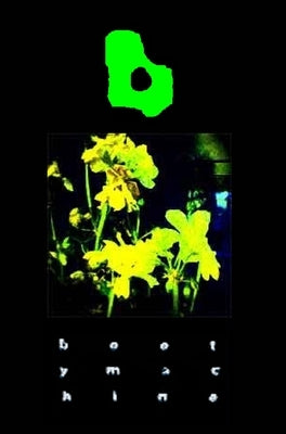 The bootymachine 2007: 366 days of experimental narration by Zand, Tristan