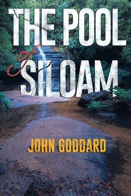 The Pool of Siloam by Goddard, John