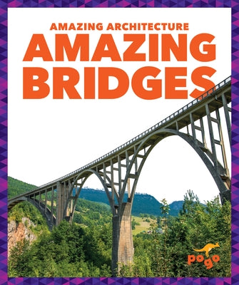Amazing Bridges by Amin, Anita Nahta