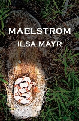 Maelstrom by Mayr, Ilsa