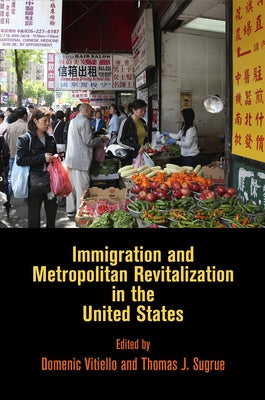 Immigration and Metropolitan Revitalization in the United States by Vitiello, Domenic