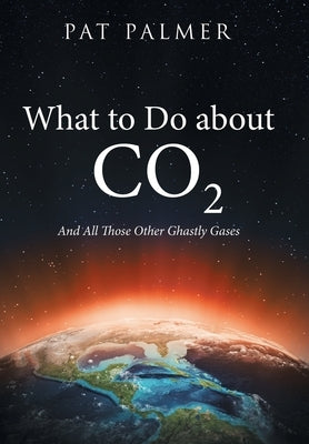 What to Do About Co2: And All Those Other Ghastly Gases by Palmer, Pat