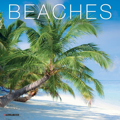 Beaches 2026 7 X 7 Mini Wall Calendar by Willow Creek Press