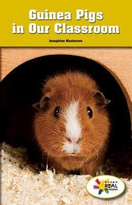 Guinea Pigs in Our Classroom by Masterson, Josephine