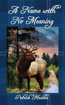 A Name with No Meaning by Madden, Patrick