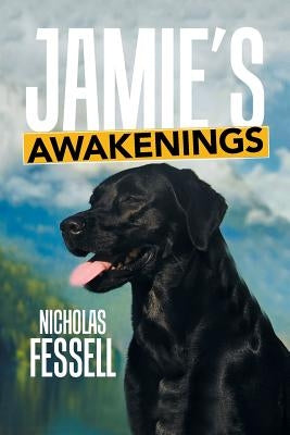 Jamie's Awakenings by Fessell, Nicholas