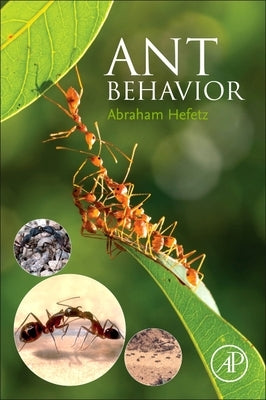 Ant Behavior by Hefetz, Abraham