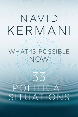 What Is Possible Now: 33 Political Situations by Kermani, Navid