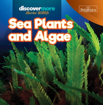 Sea Plants and Algae by Salvatore, Kaitlyn