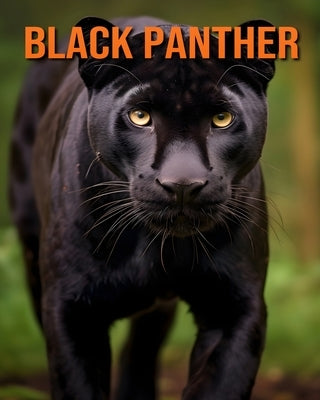 Black Panther: An Amazing Animal Picture Book for Kids by Diaz, Luca