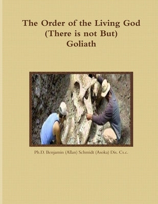 Goliath by Schmidt, Benjamin